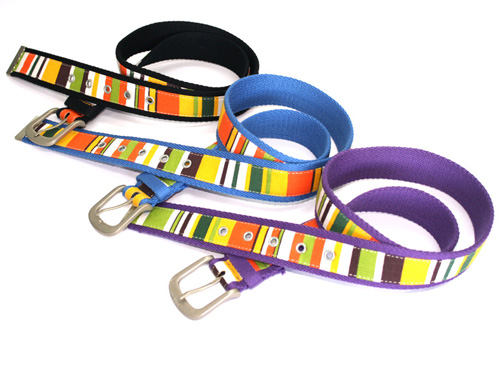 canvas belt 1