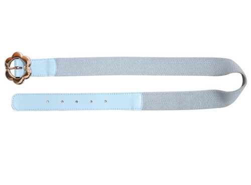 canvas belt 2