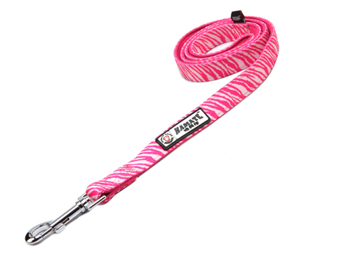dog leash 10