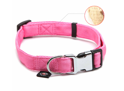 dog collar 4