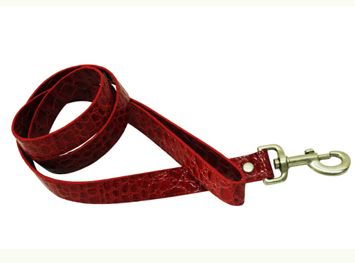 dog leash 4