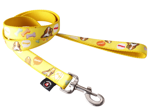 dog leash 2
