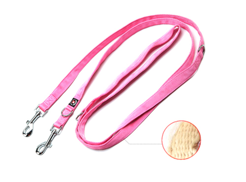 dog leash