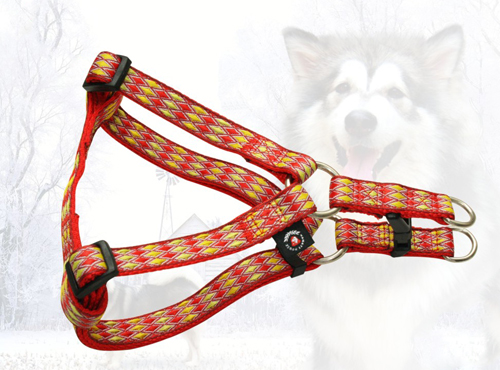 dog harness
