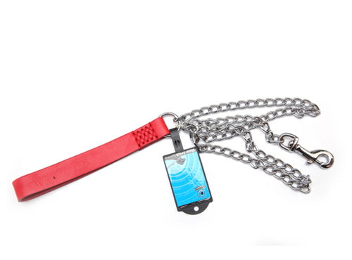 dog chain
