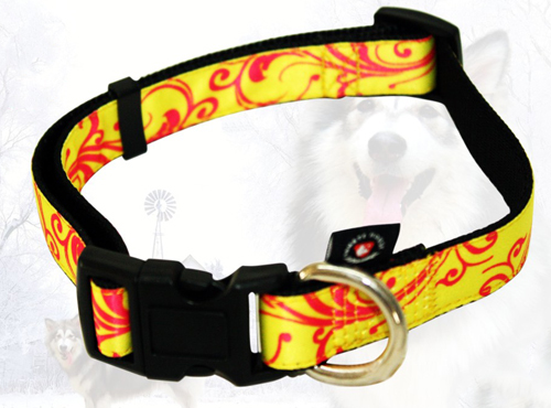 dog collar 1